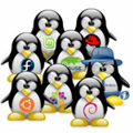 Distribuzioni GNU/Linux Distribuzioni GNU/Linux